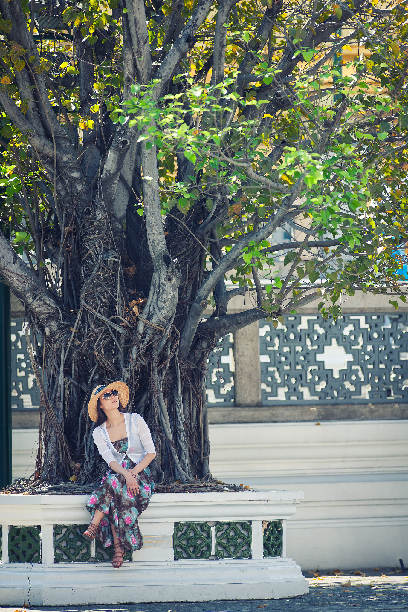 Canon EF 200mm f/1.8L sample photo. Koms1464.jpg photography