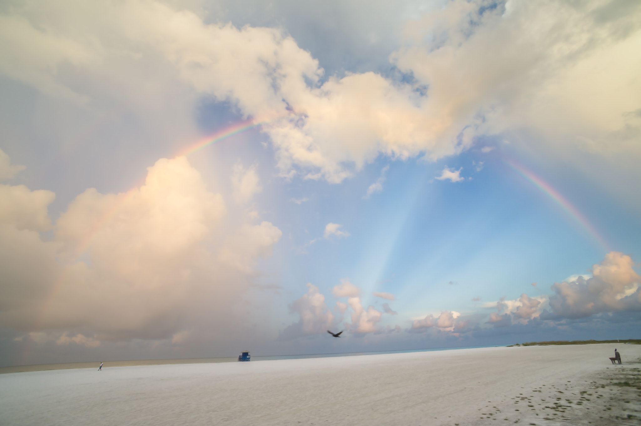 Sony Alpha NEX-C3 + Sony E 16mm F2.8 sample photo. Siesta key, usa photography