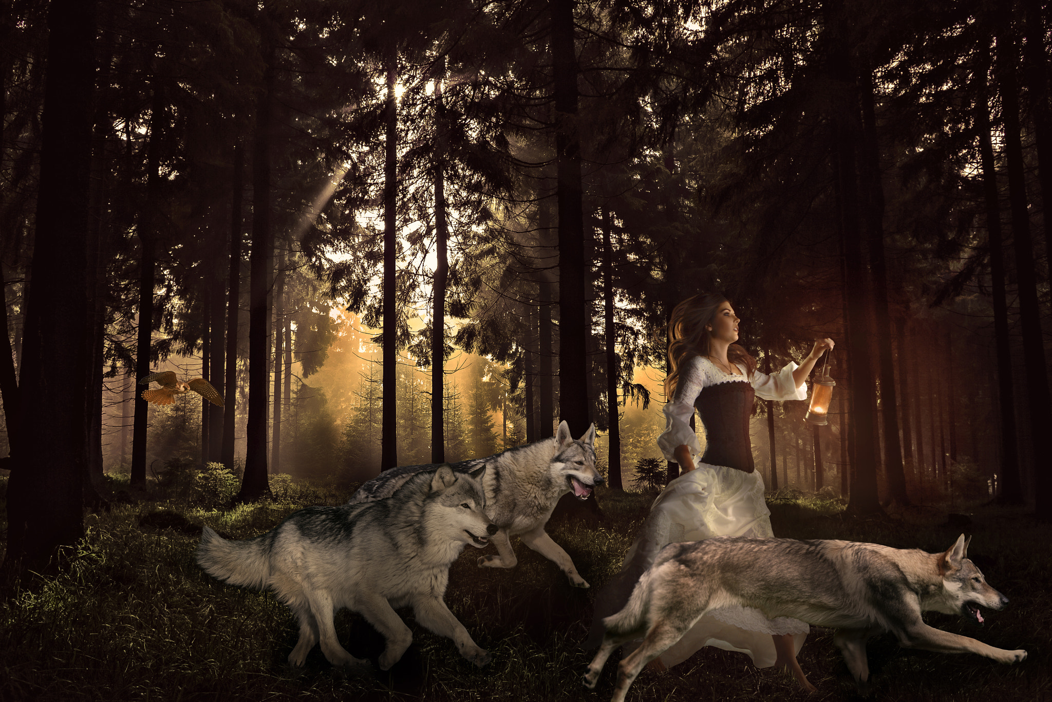 Canon EOS 5D + Canon EF 28mm F2.8 sample photo. Running with wolves photography
