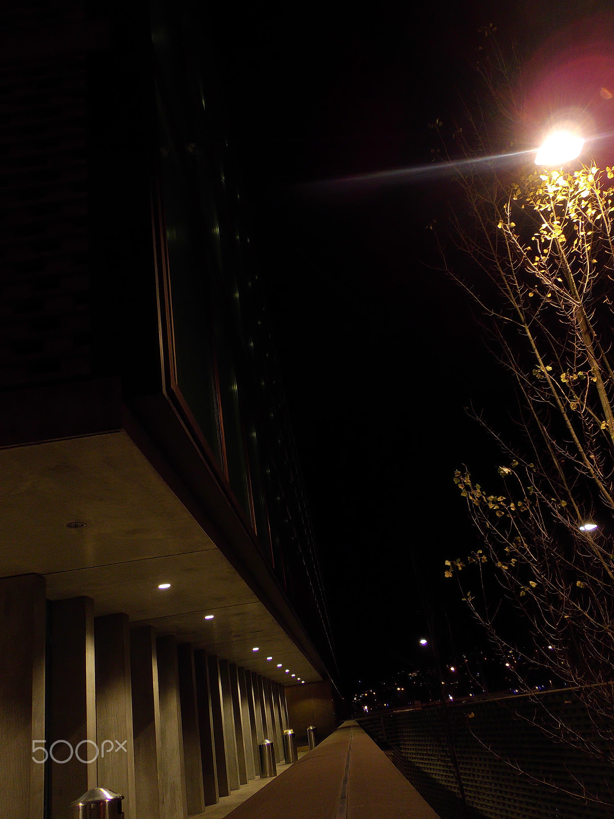Pentax Optio VS20 sample photo. Bbbaden photography