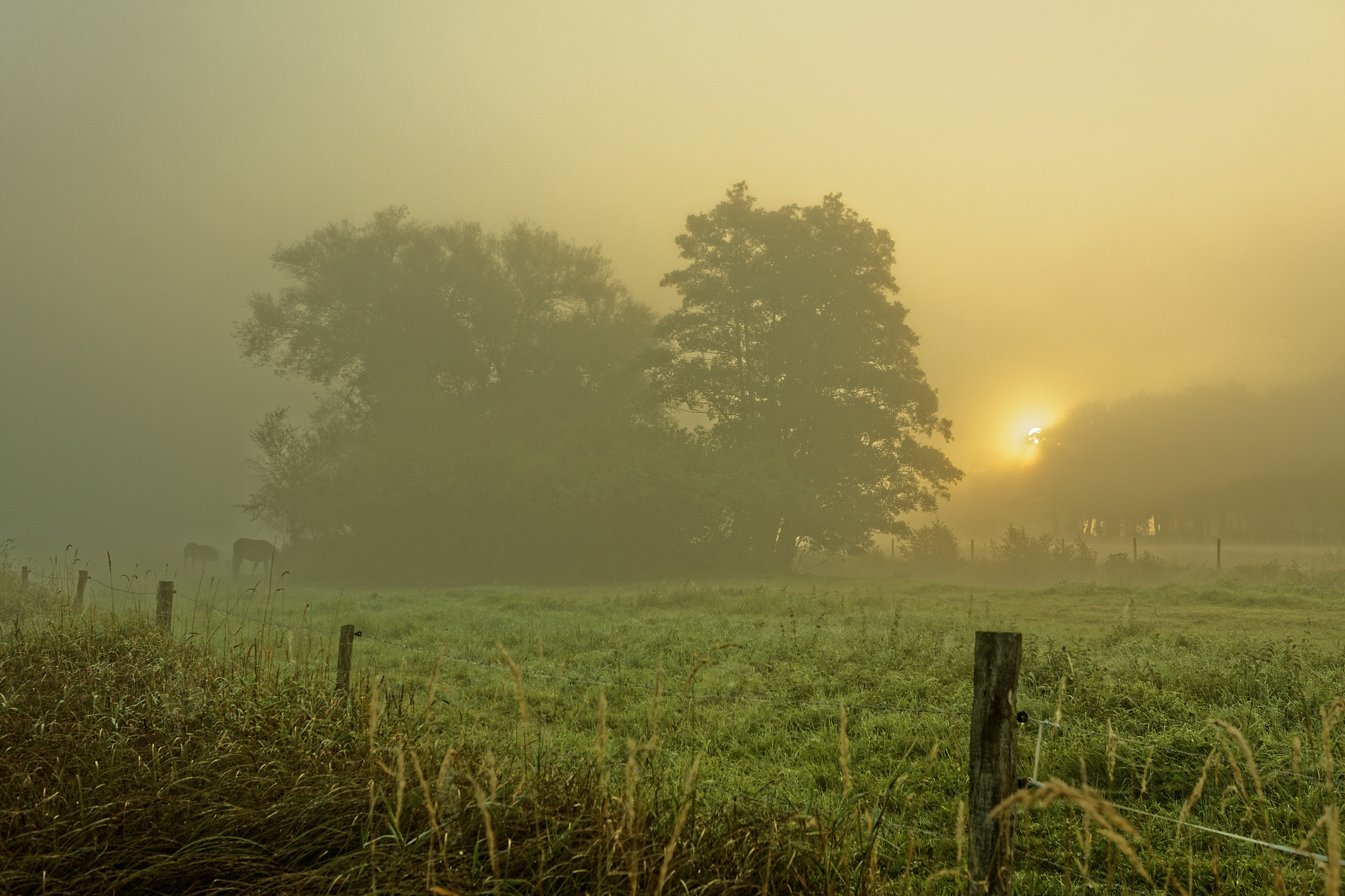 Sigma 18-50mm F2.8-4.5 DC OS HSM sample photo. Sun rise photography