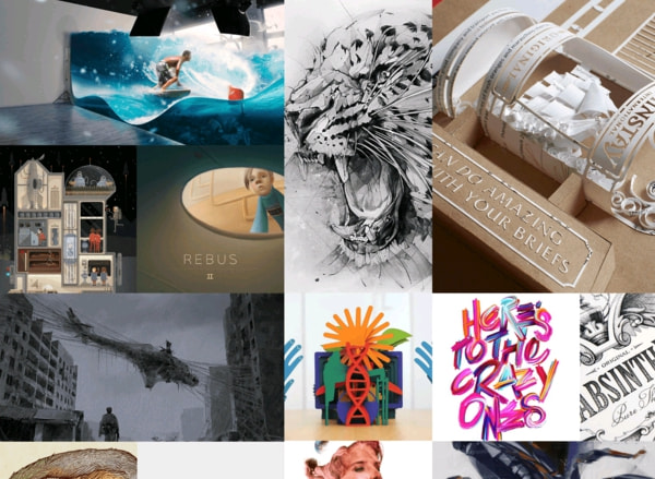 Premium wordpress themes