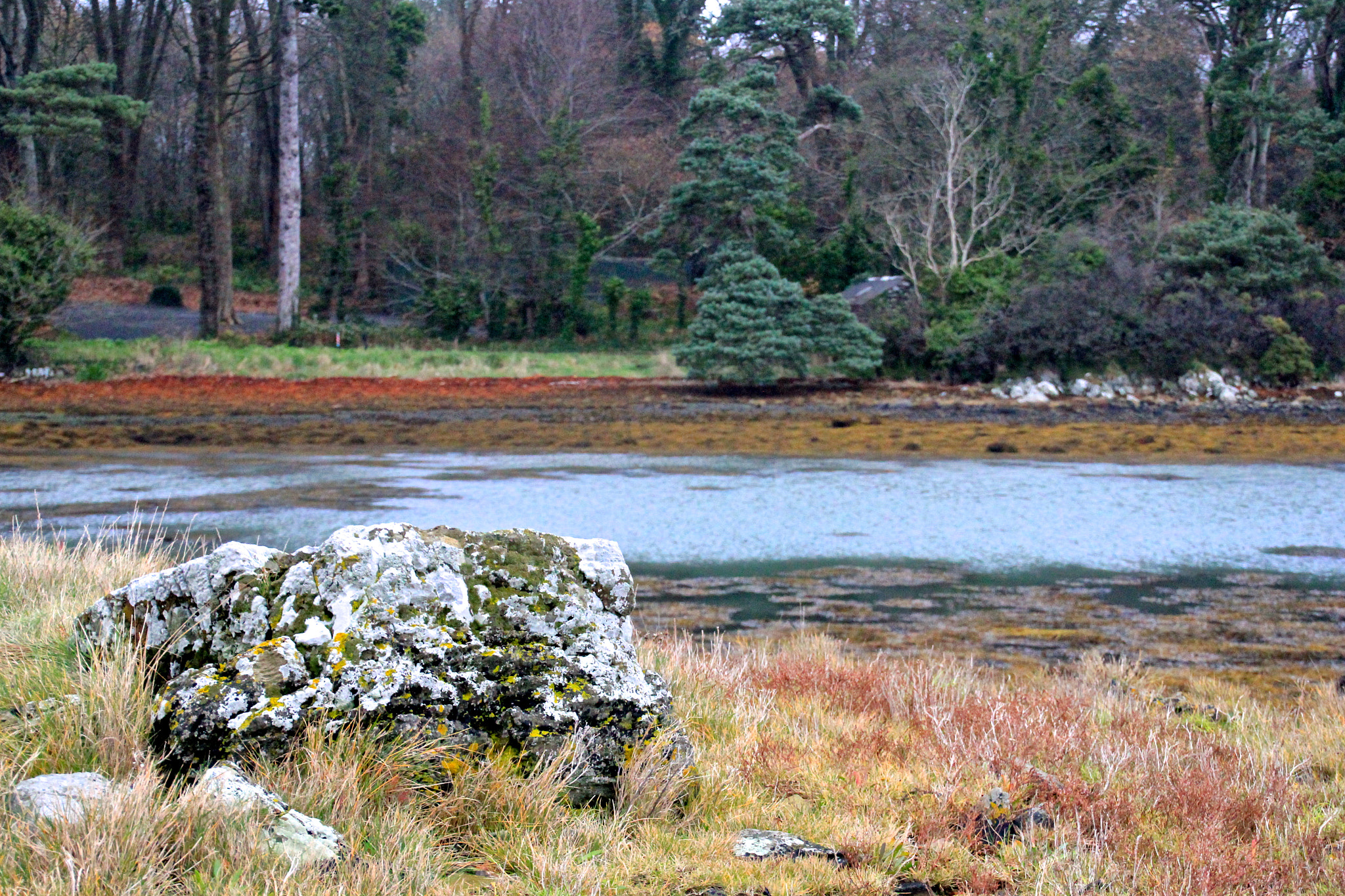 Canon EOS 550D (EOS Rebel T2i / EOS Kiss X4) + Sigma 18-125mm F3.8-5.6 DC OS HSM sample photo. Strangford lough photography