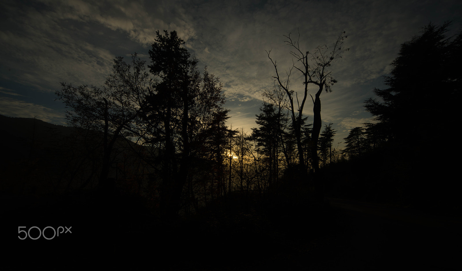 Sigma 12-24mm F4.5-5.6 EX DG Aspherical HSM sample photo. Silence photography