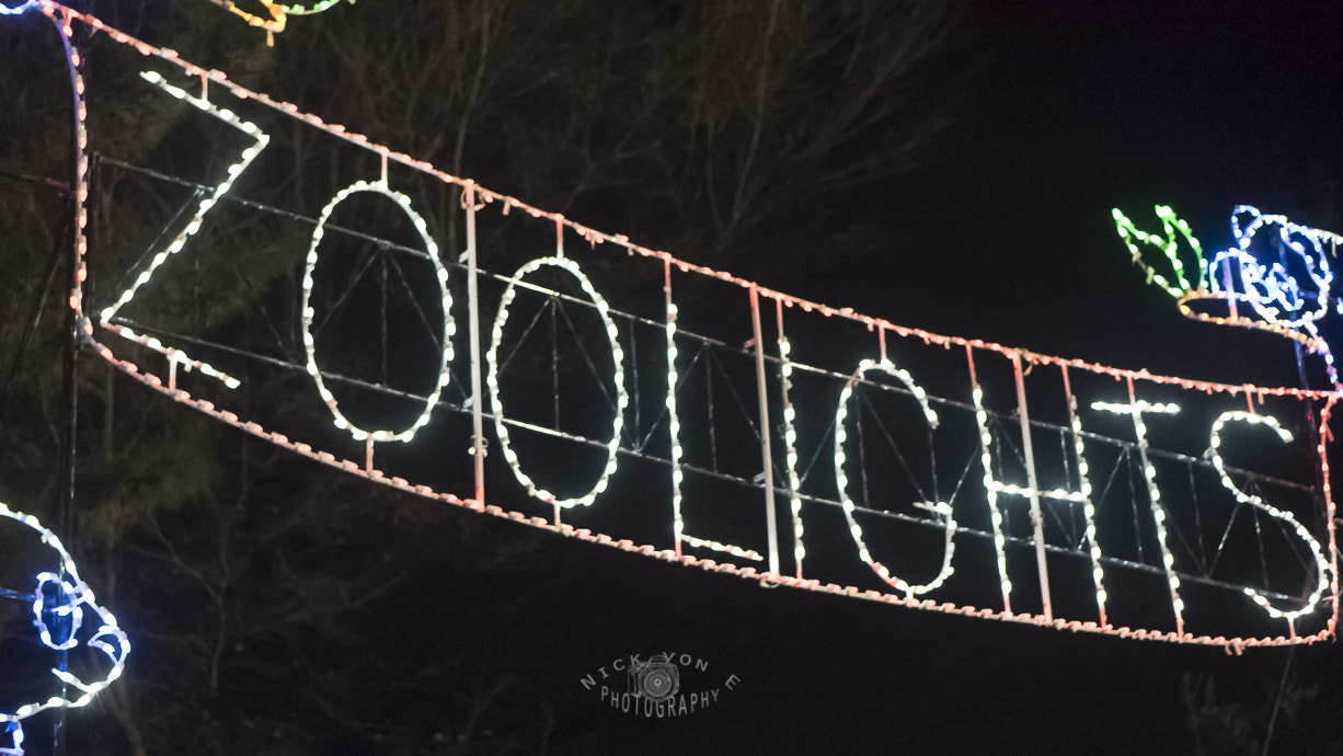 E 50mm F1.8 OSS sample photo. Zoo lights 2015 photography