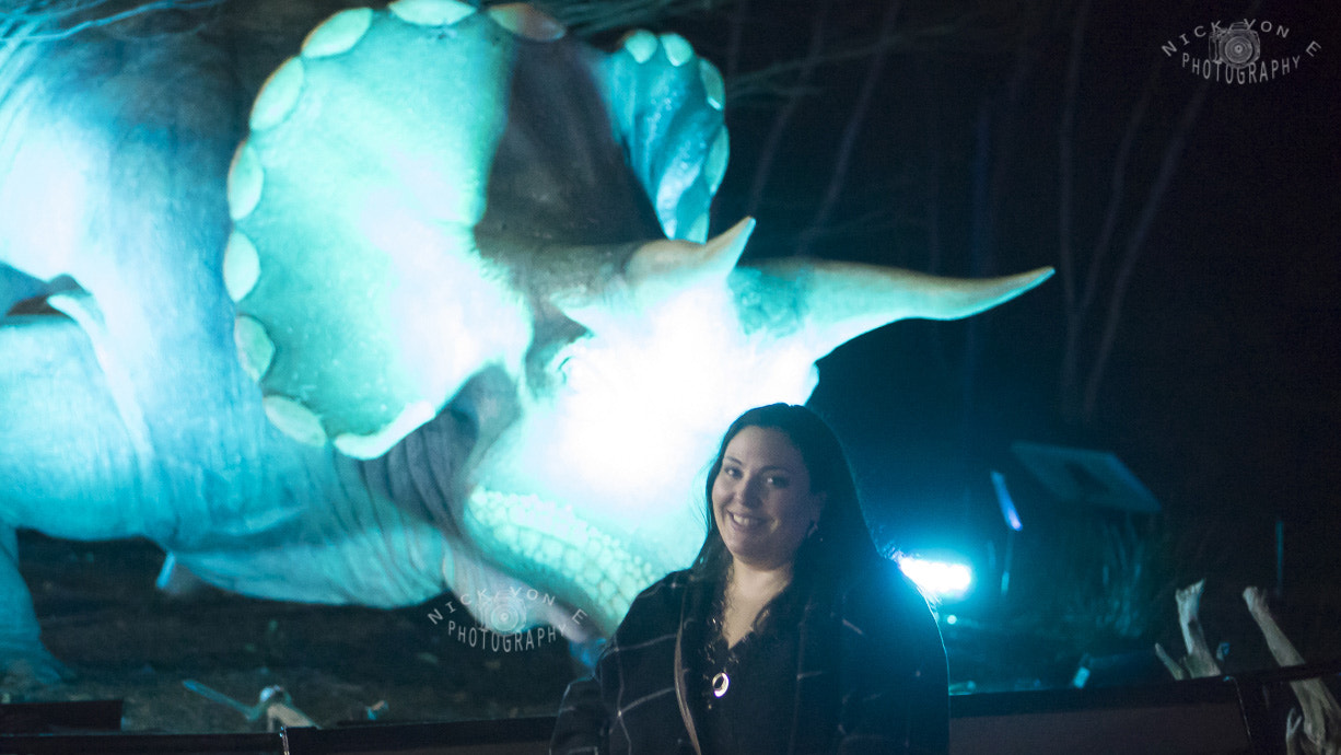 E 50mm F1.8 OSS sample photo. Zoo lights 2015 photography