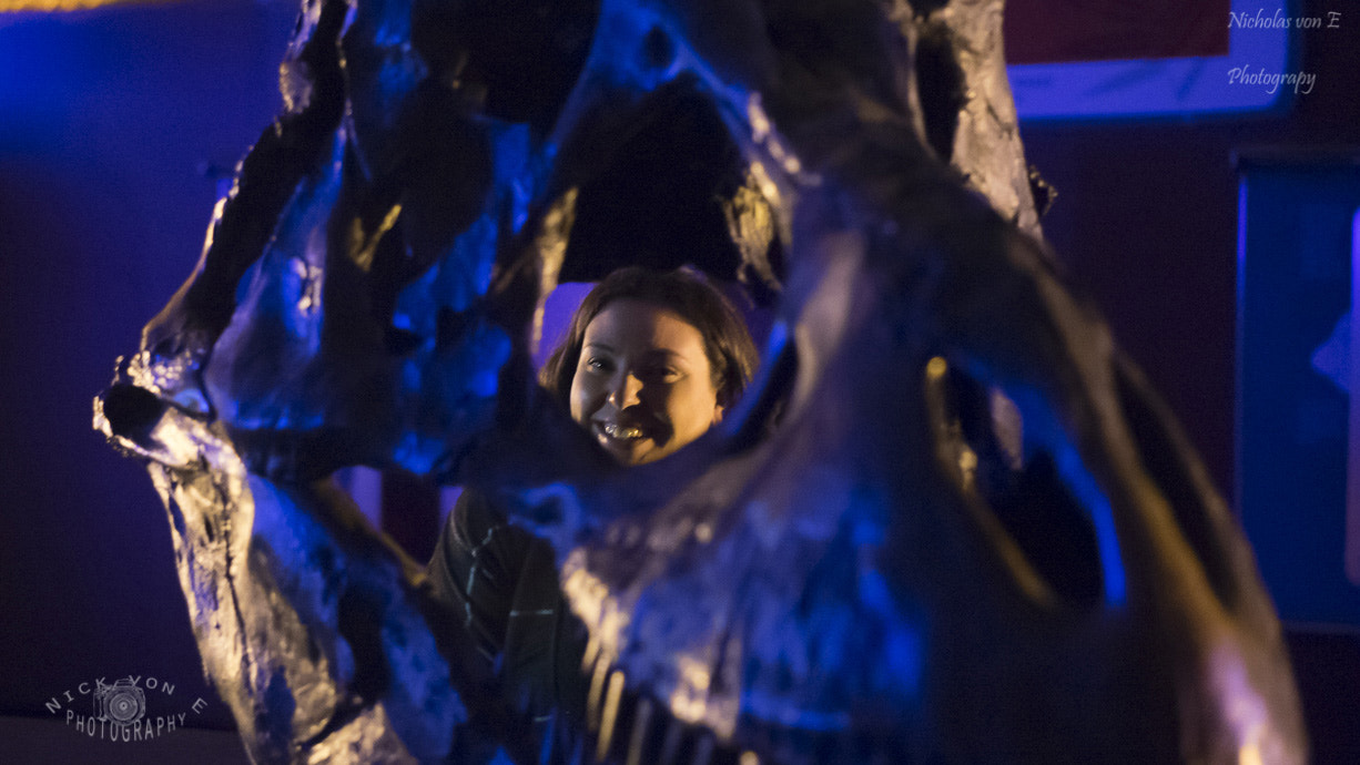 E 50mm F1.8 OSS sample photo. Zoo lights 2015 photography