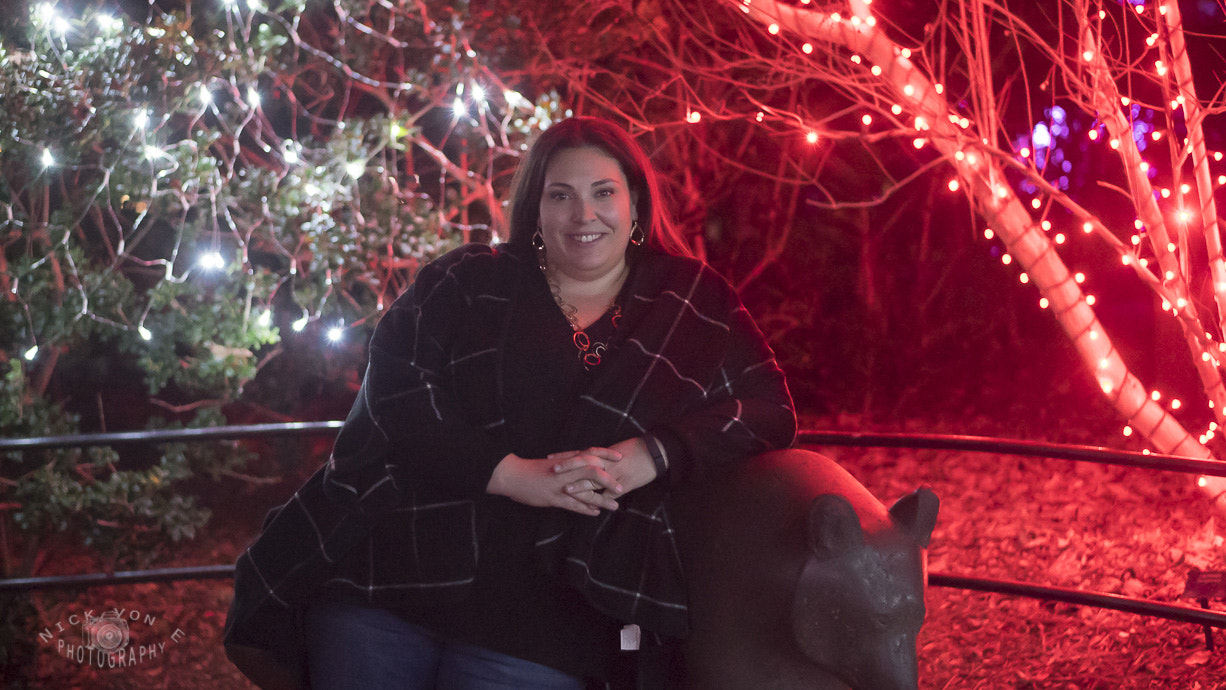 E 50mm F1.8 OSS sample photo. Zoo lights 2015 photography
