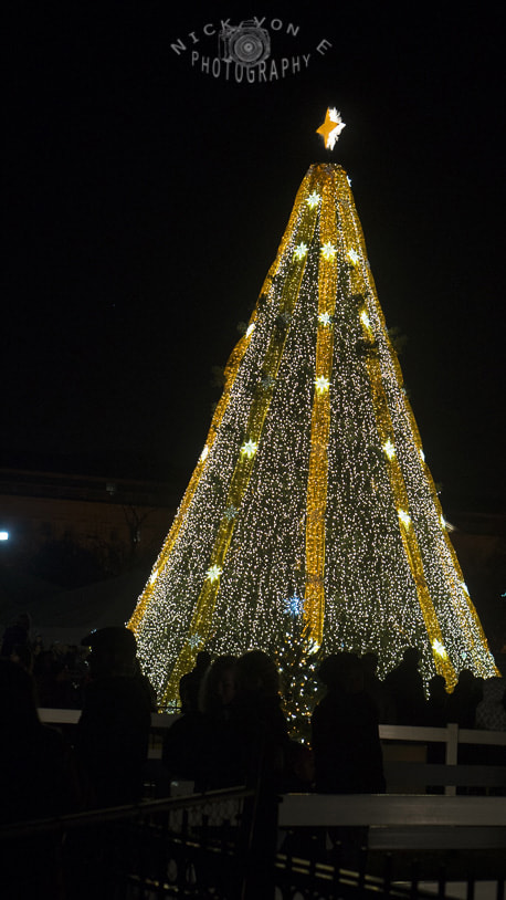 E 50mm F1.8 OSS sample photo. Zoo lights 2015 photography