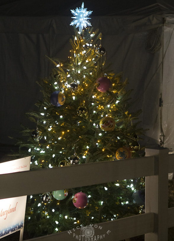 E 50mm F1.8 OSS sample photo. Zoo lights 2015 photography