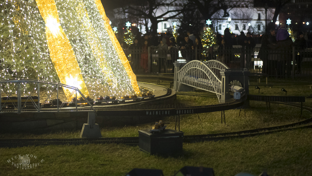E 50mm F1.8 OSS sample photo. Zoo lights 2015 photography