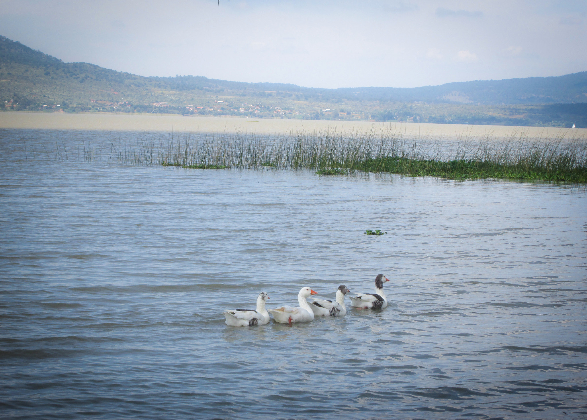 Canon POWERSHOT A2600 sample photo. Patzcuaro lake. photography