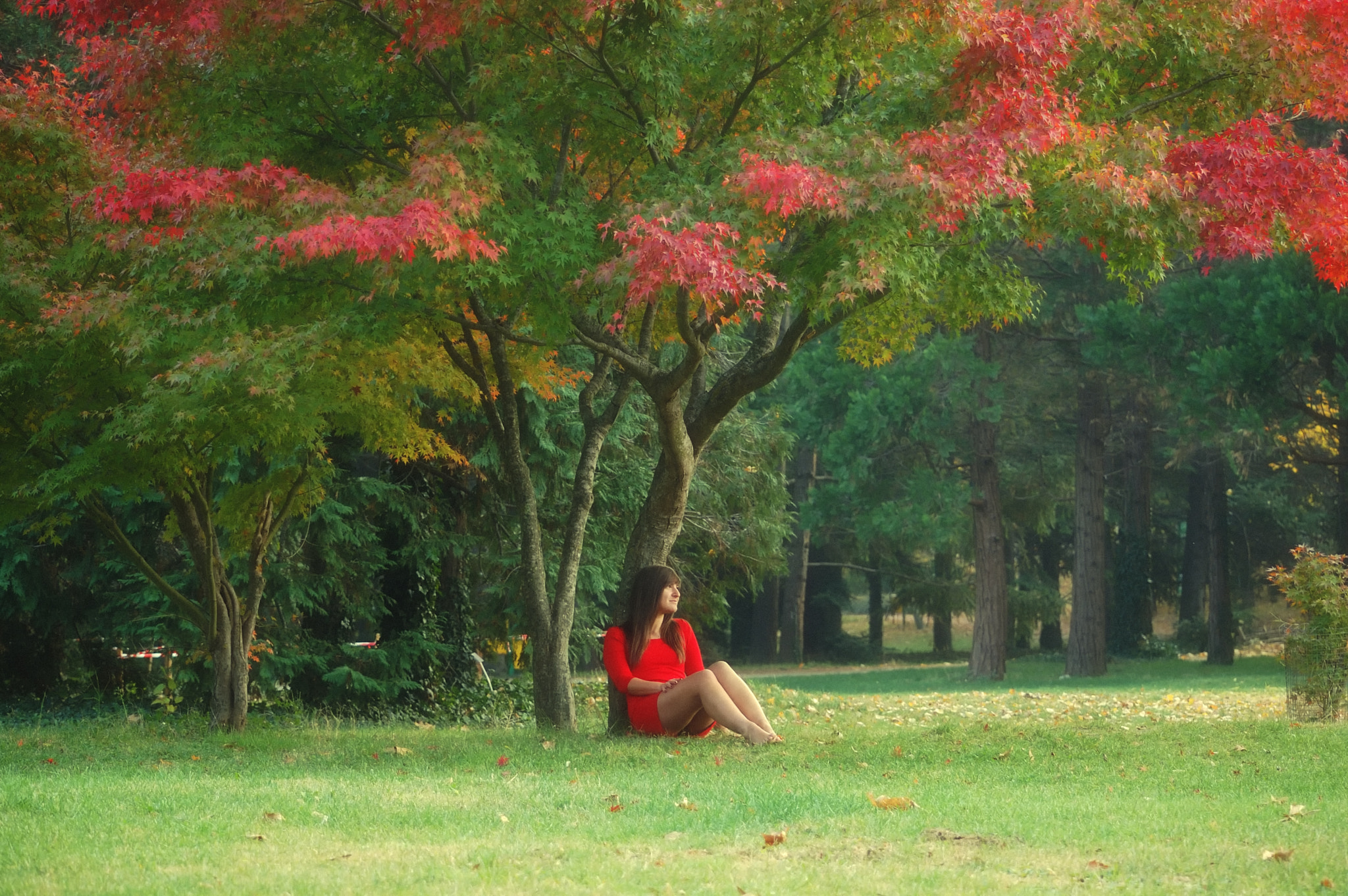 Nikon D40 sample photo. Lady in red photography
