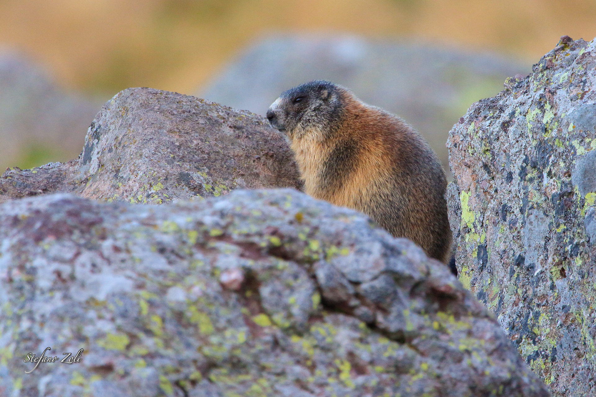 Canon EF 100-400mm F4.5-5.6L IS USM sample photo. Dpp_4355.jpg photography