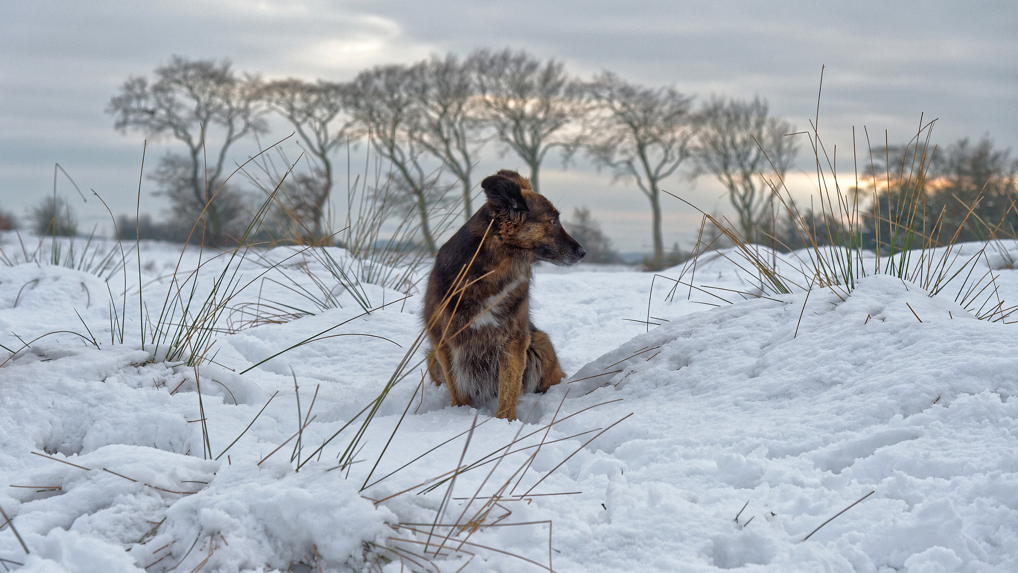 Nikon D4S sample photo. Skye photography
