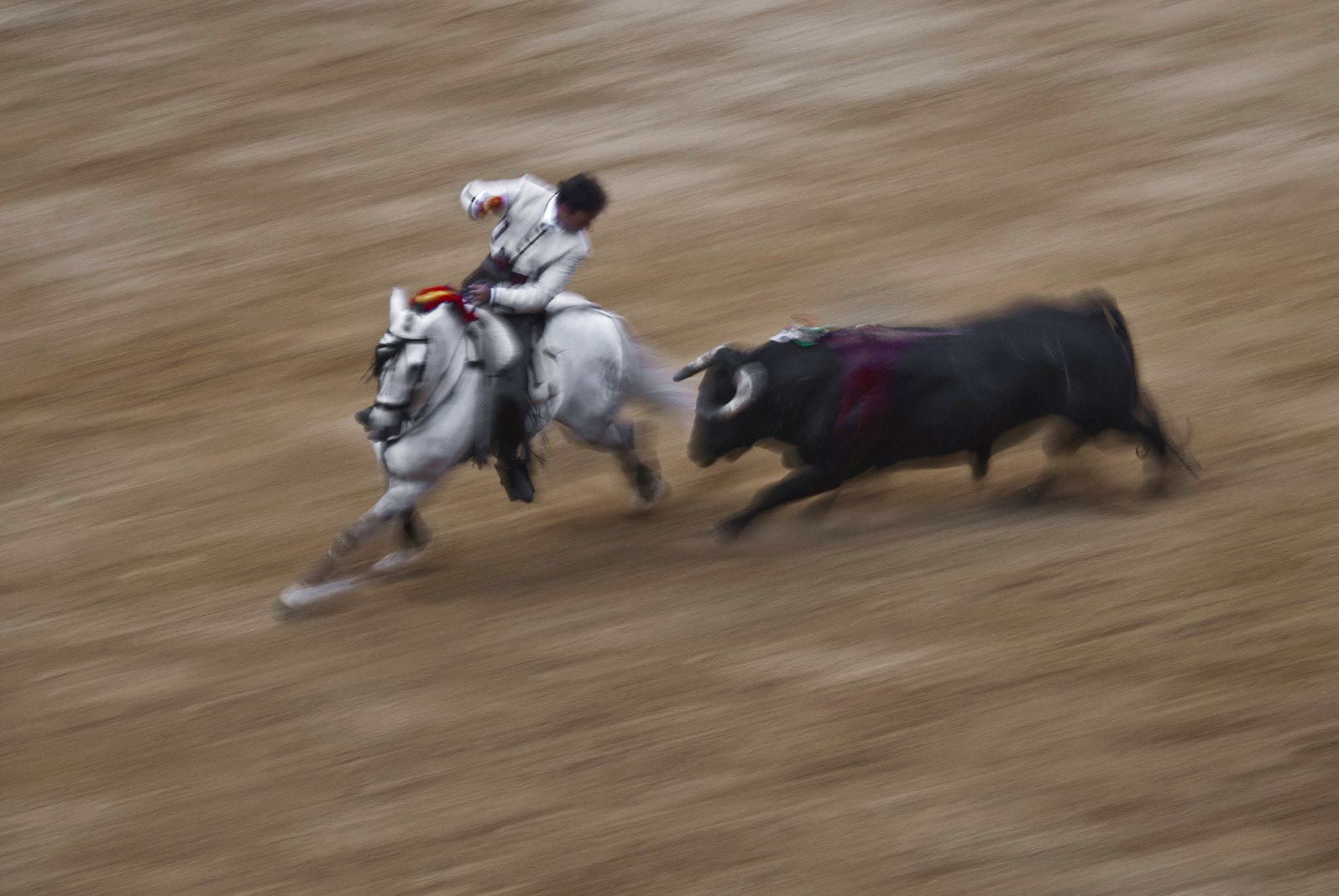 Sigma 150-500mm F5-6.3 DG OS HSM sample photo. Rejones photography