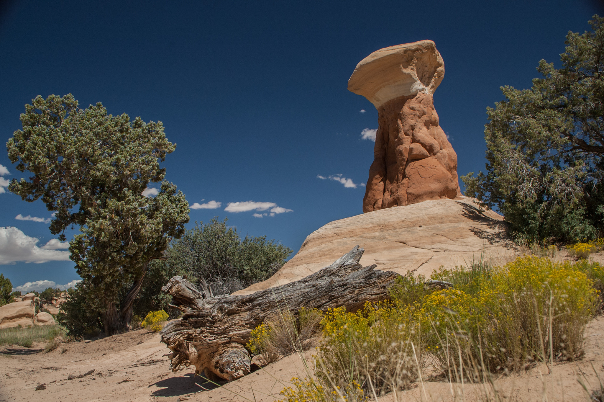 Nikon D70s sample photo. Utah hoodoo photography