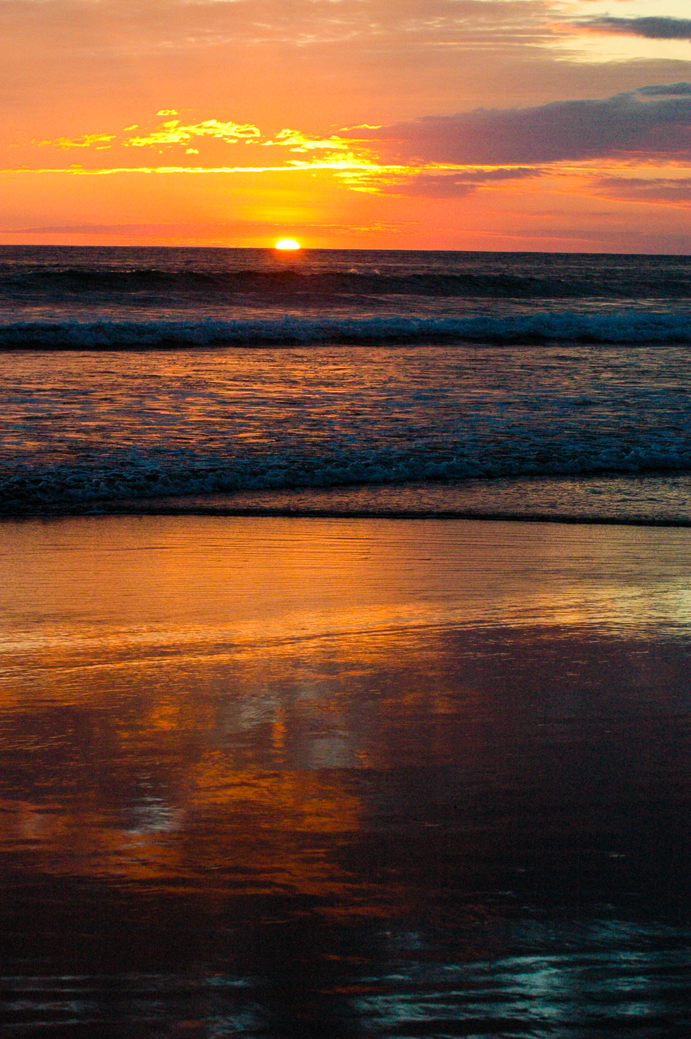Nikon D70s sample photo. Matapalo costa rica photography