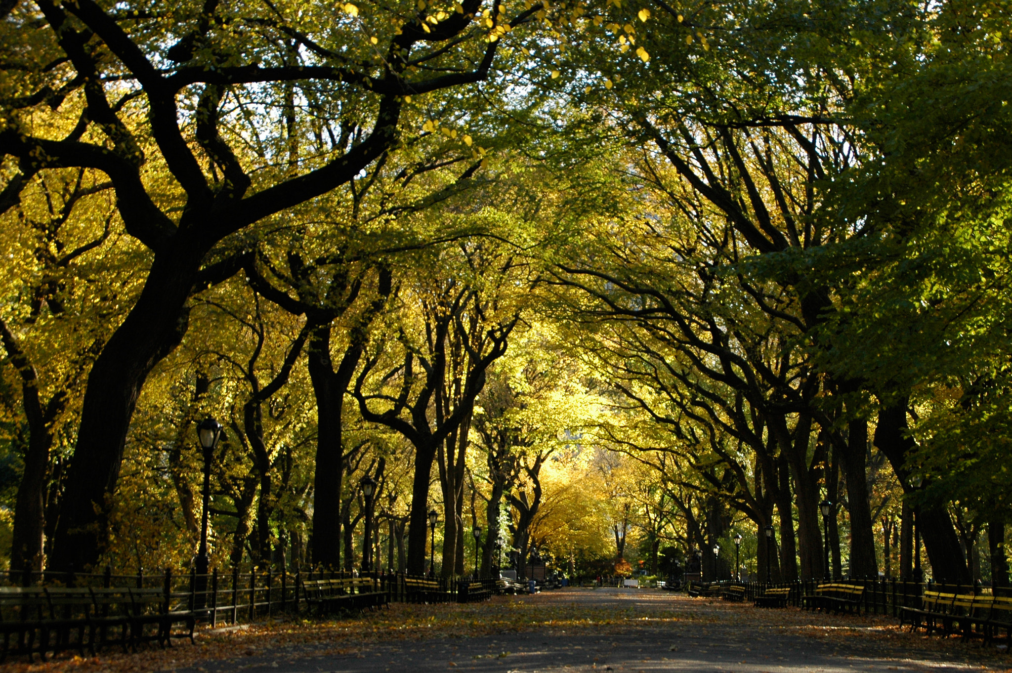 Nikon D70s sample photo. Nyc central park photography