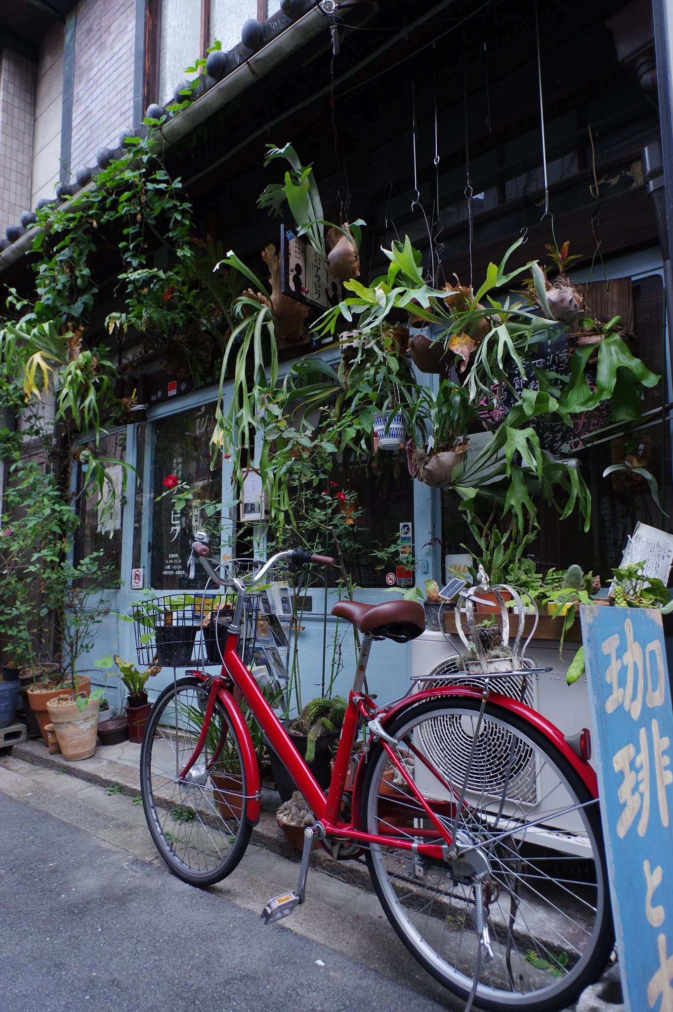 Pentax smc DA 15mm F4 ED AL Limited sample photo. The aroma of coffee photography