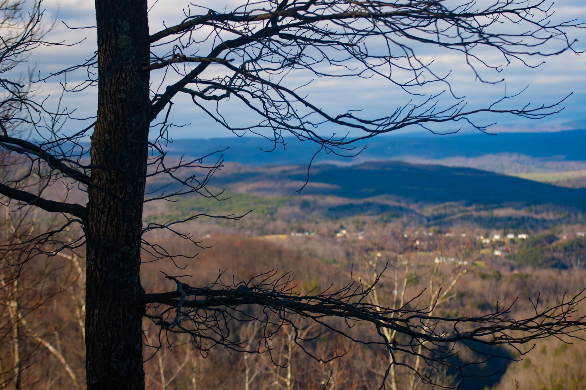 Nikon D70s sample photo. Pulaski framed photography
