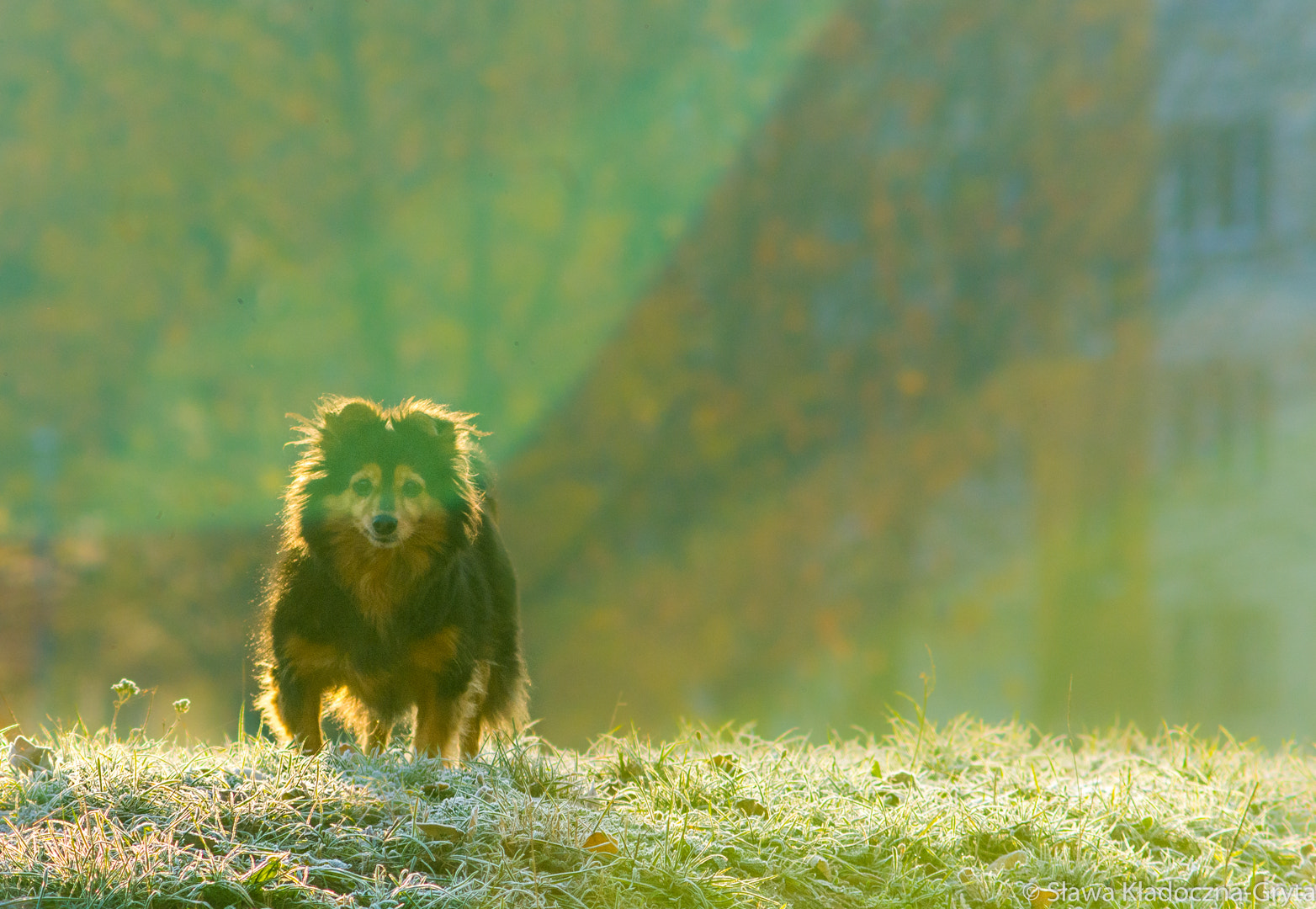 Nikon D7100 + AF Zoom-Nikkor 70-210mm f/4 sample photo. River photography