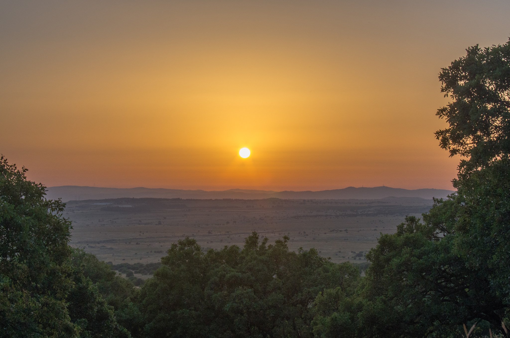Pentax smc DA 50-200mm F4-5.6 ED sample photo. Orange sunrise photography