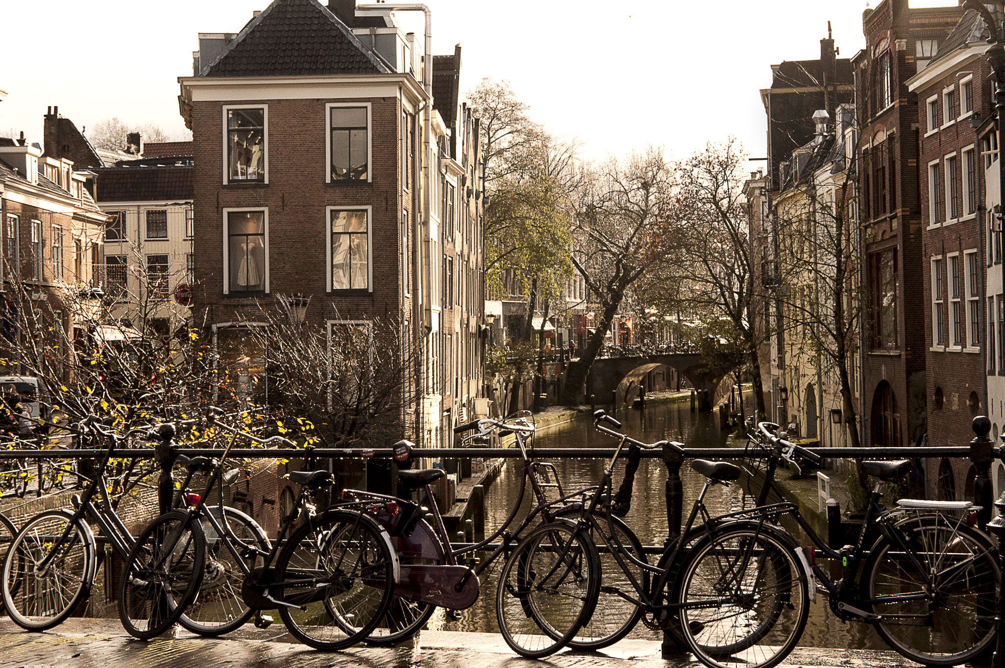 Nikon PC-E Nikkor 24mm F3.5D ED Tilt-Shift sample photo. Utrecht student city photography