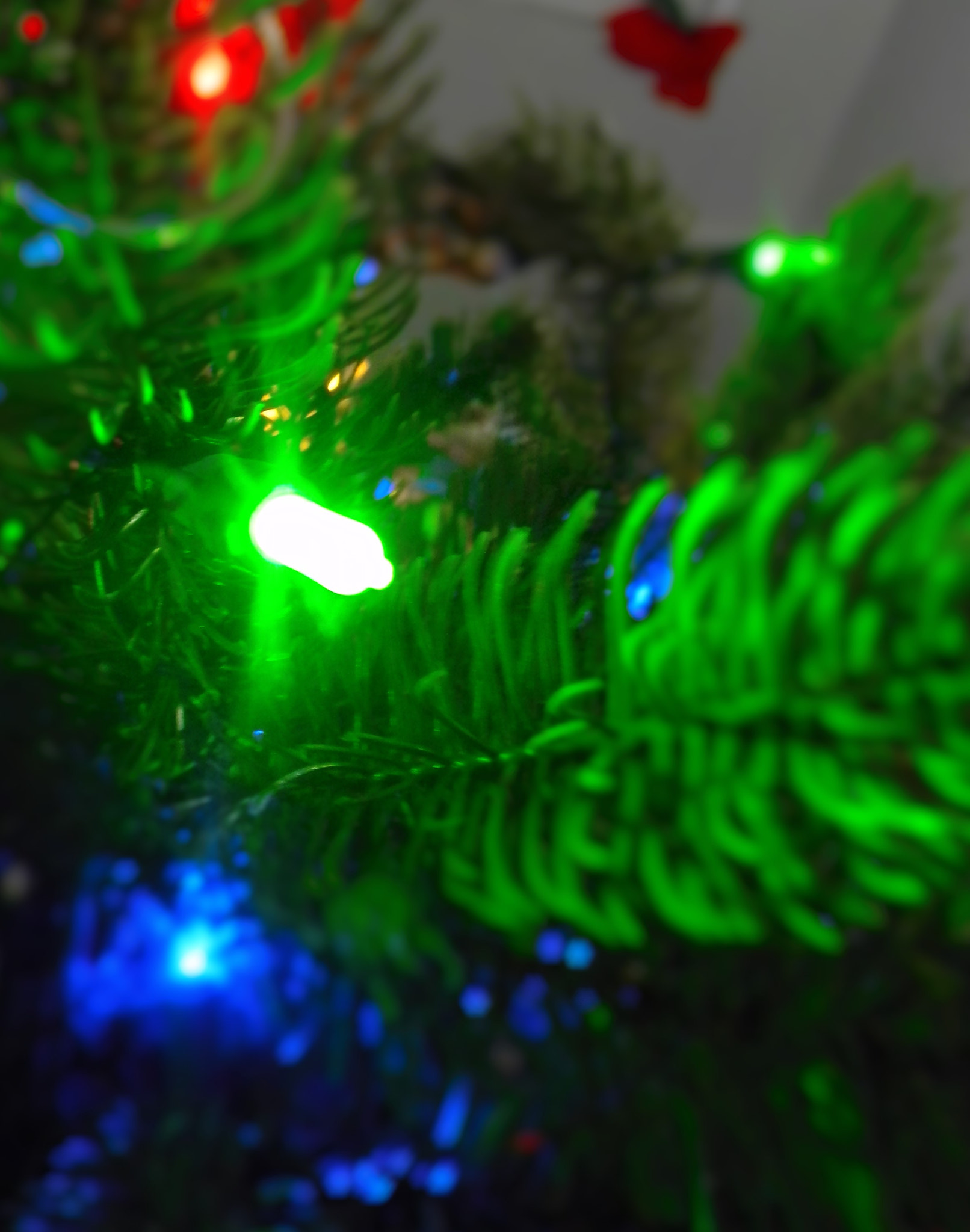 Nikon COOLPIX L105 sample photo. Christmas time photography