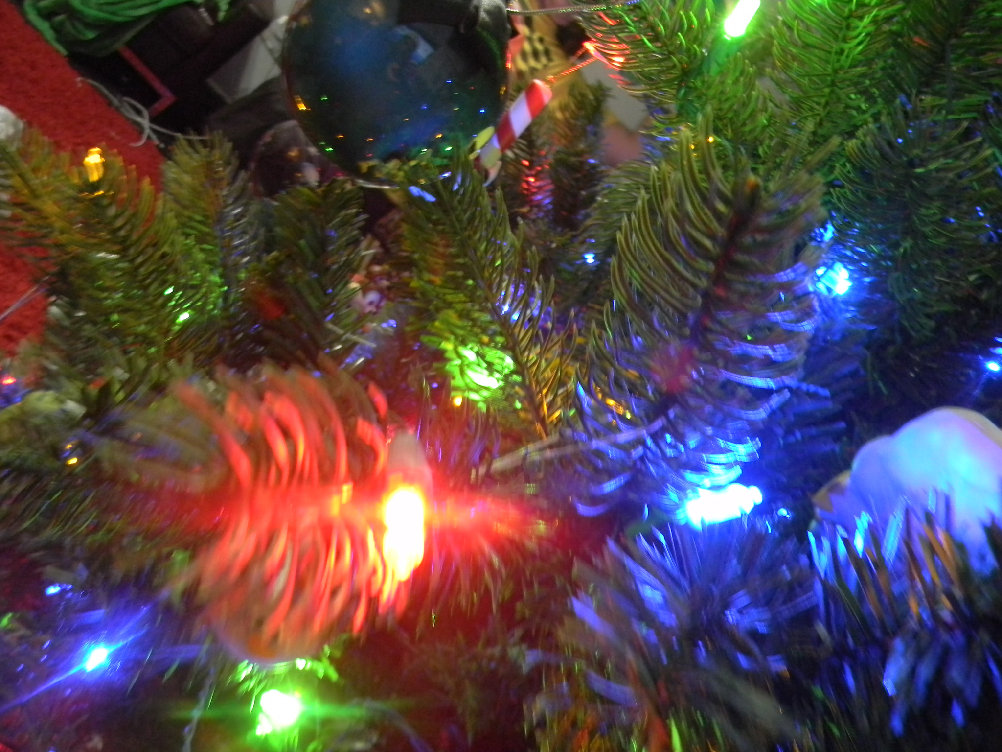 Nikon COOLPIX L105 sample photo. Christmas time photography