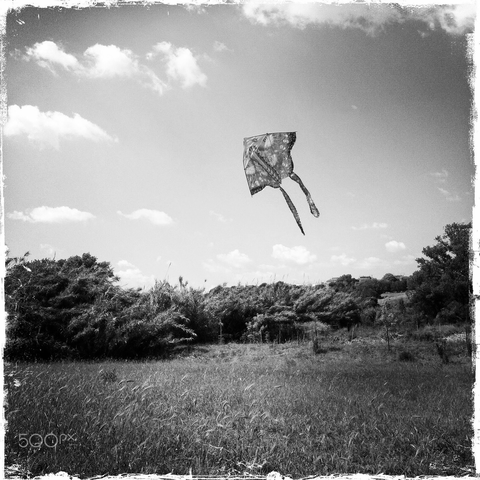 Hipstamatic 275 sample photo. Kite photography