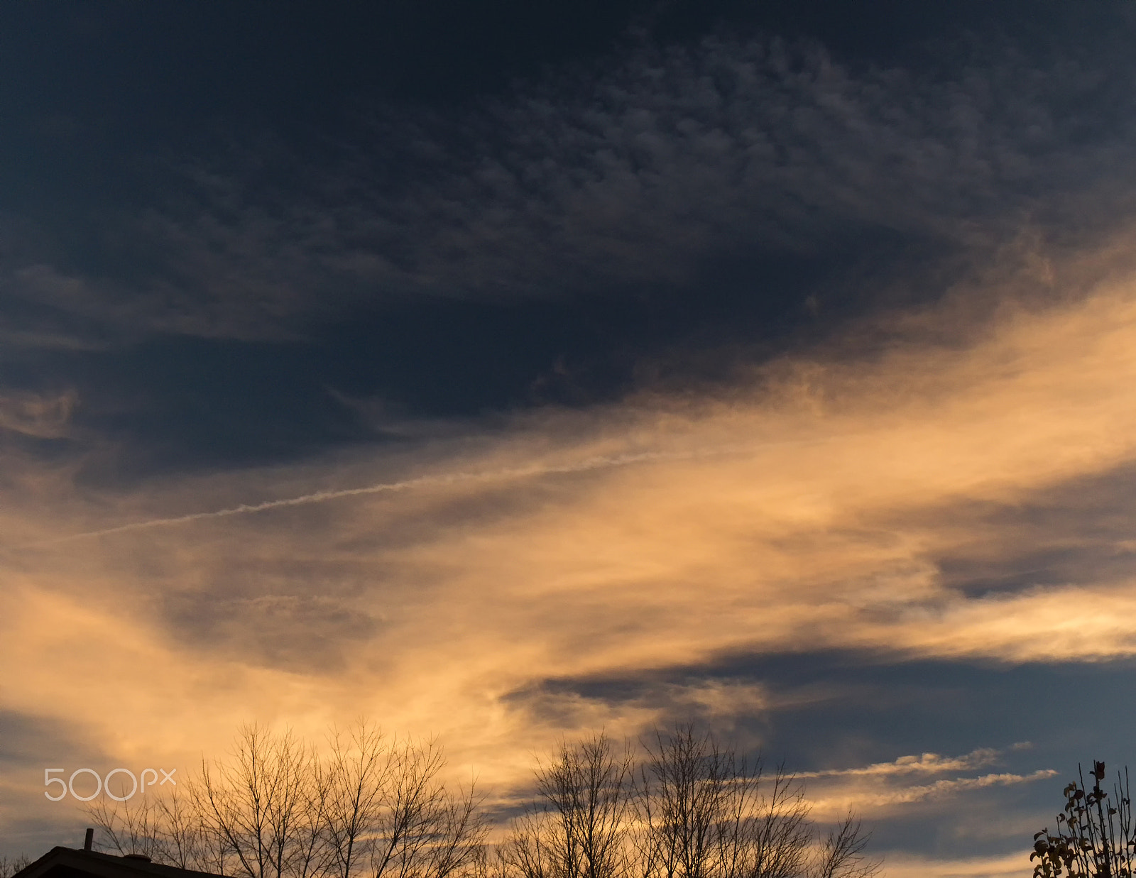 Canon EOS 760D (EOS Rebel T6s / EOS 8000D) sample photo. Orange gallery photography