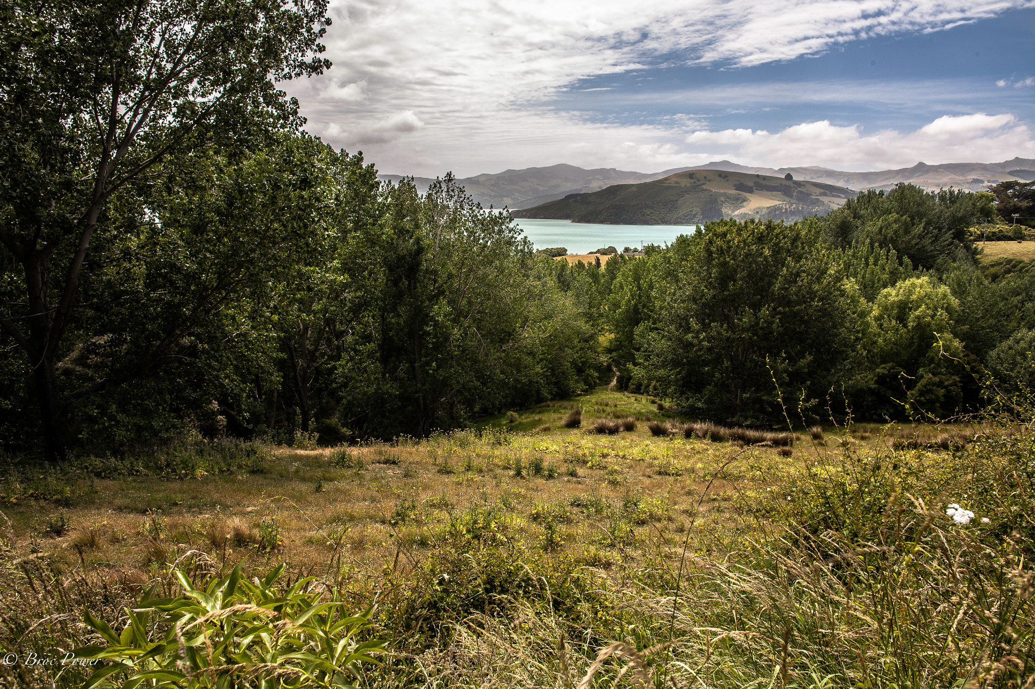 Canon EF 14mm F2.8L II USM sample photo. Hiking new zealand photography