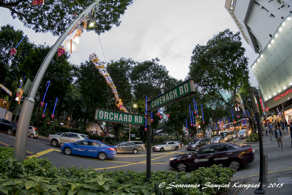 Nikon D3300 + Samyang 8mm F3.5 Aspherical IF MC Fisheye sample photo. Orchard road - cavenagh road photography
