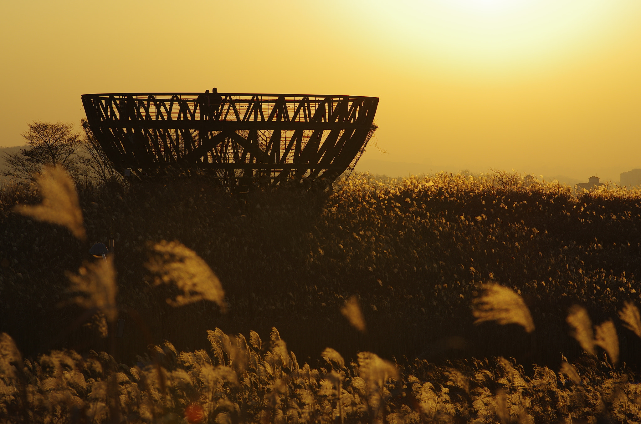 Pentax K-5 + Pentax smc D-FA 100mm F2.8 macro sample photo. #sunset #skypark #seoul #korea photography