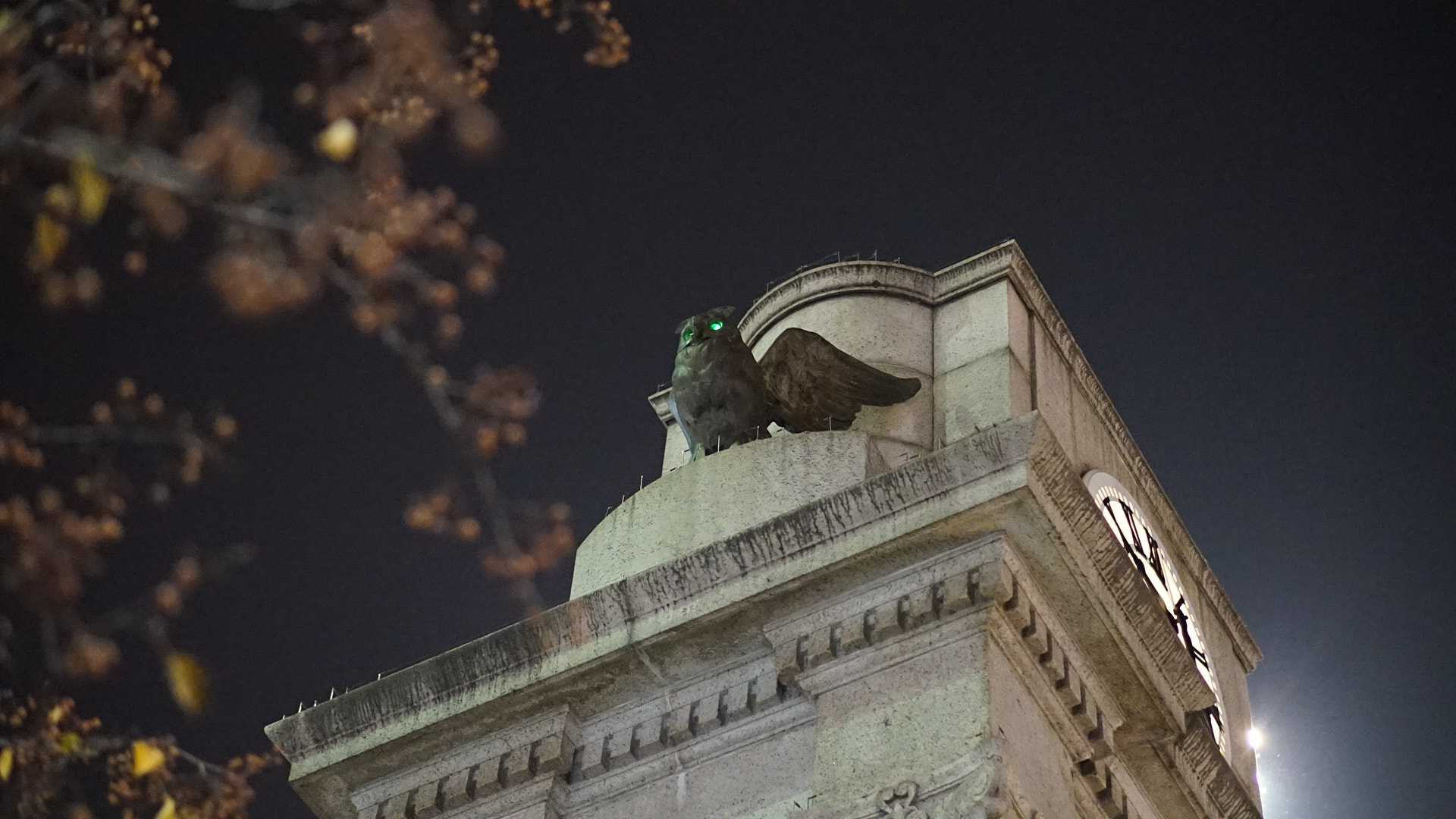 Sony E 50mm F1.8 OSS sample photo. Herald square owl photography