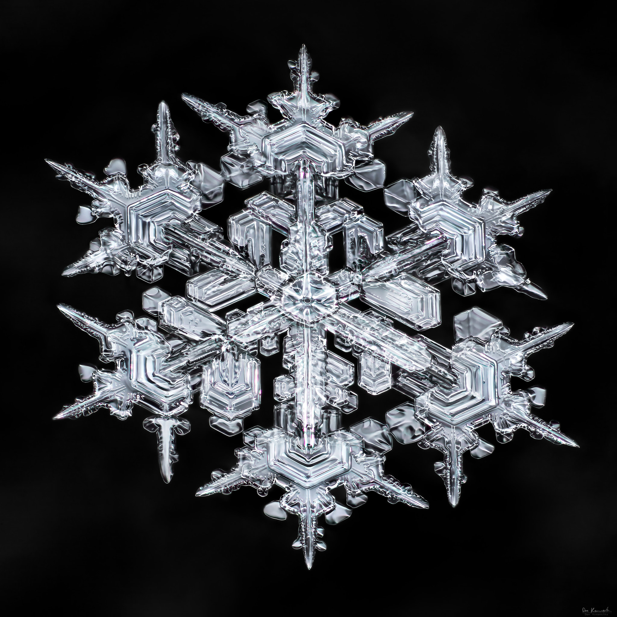 Canon MP-E 65mm F2.5 1-5x Macro Photo sample photo. Snowflake-a-day #11 photography