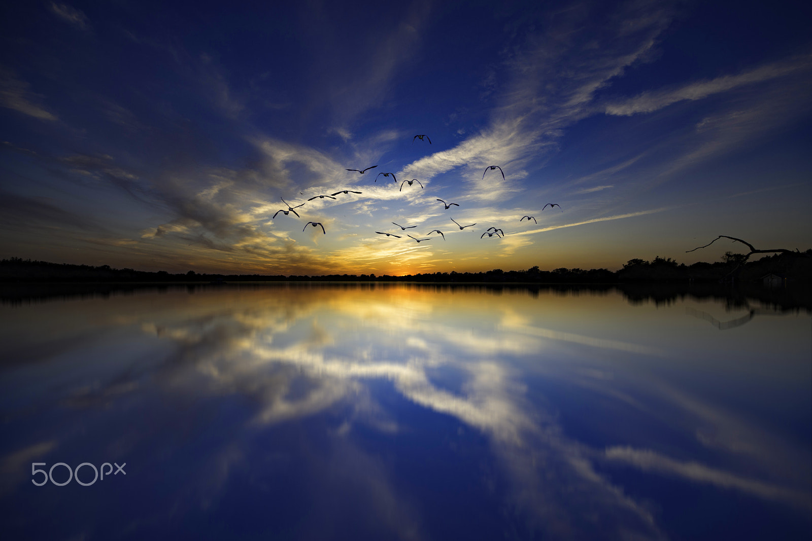 Sigma 8-16mm F4.5-5.6 DC HSM sample photo. Sunset fly 3 photography