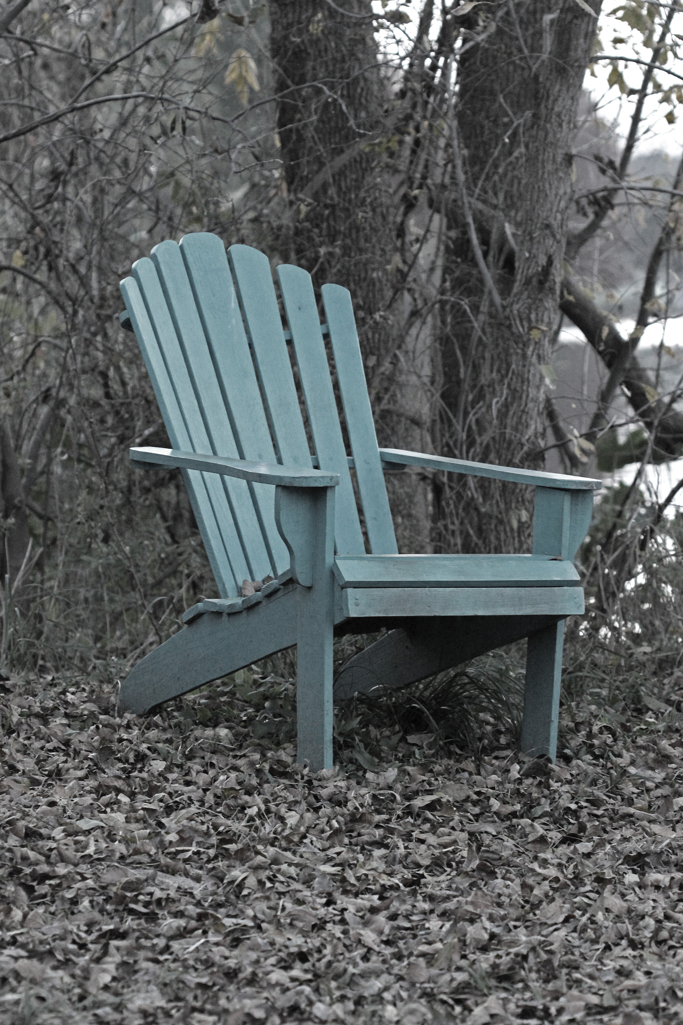 Canon EOS 600D (Rebel EOS T3i / EOS Kiss X5) + Canon EF 100mm F2.8 Macro USM sample photo. Blue chair on the lake photography