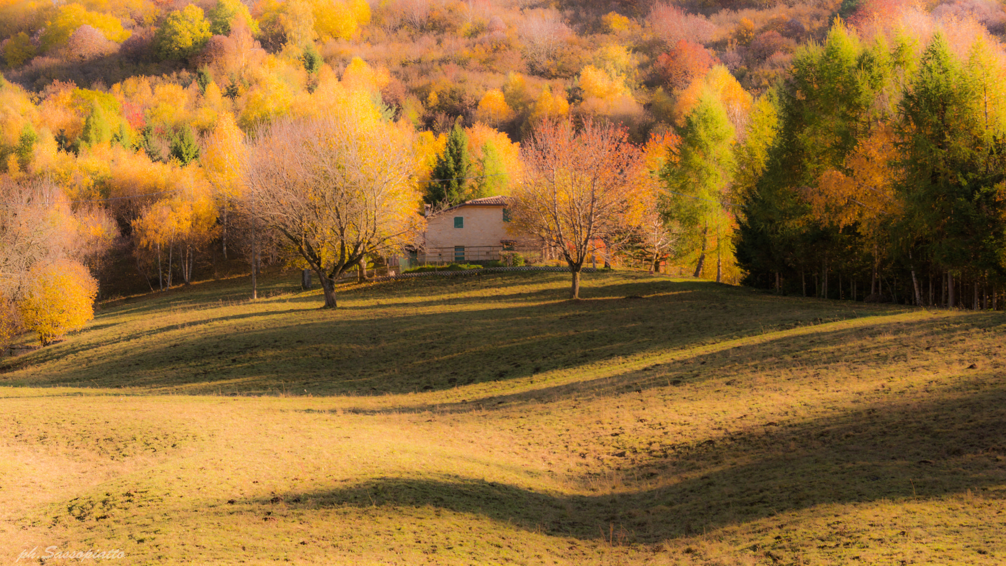 Sigma 18-125mm F3.8-5.6 DC OS HSM sample photo. 20151103_6176 1.jpg photography