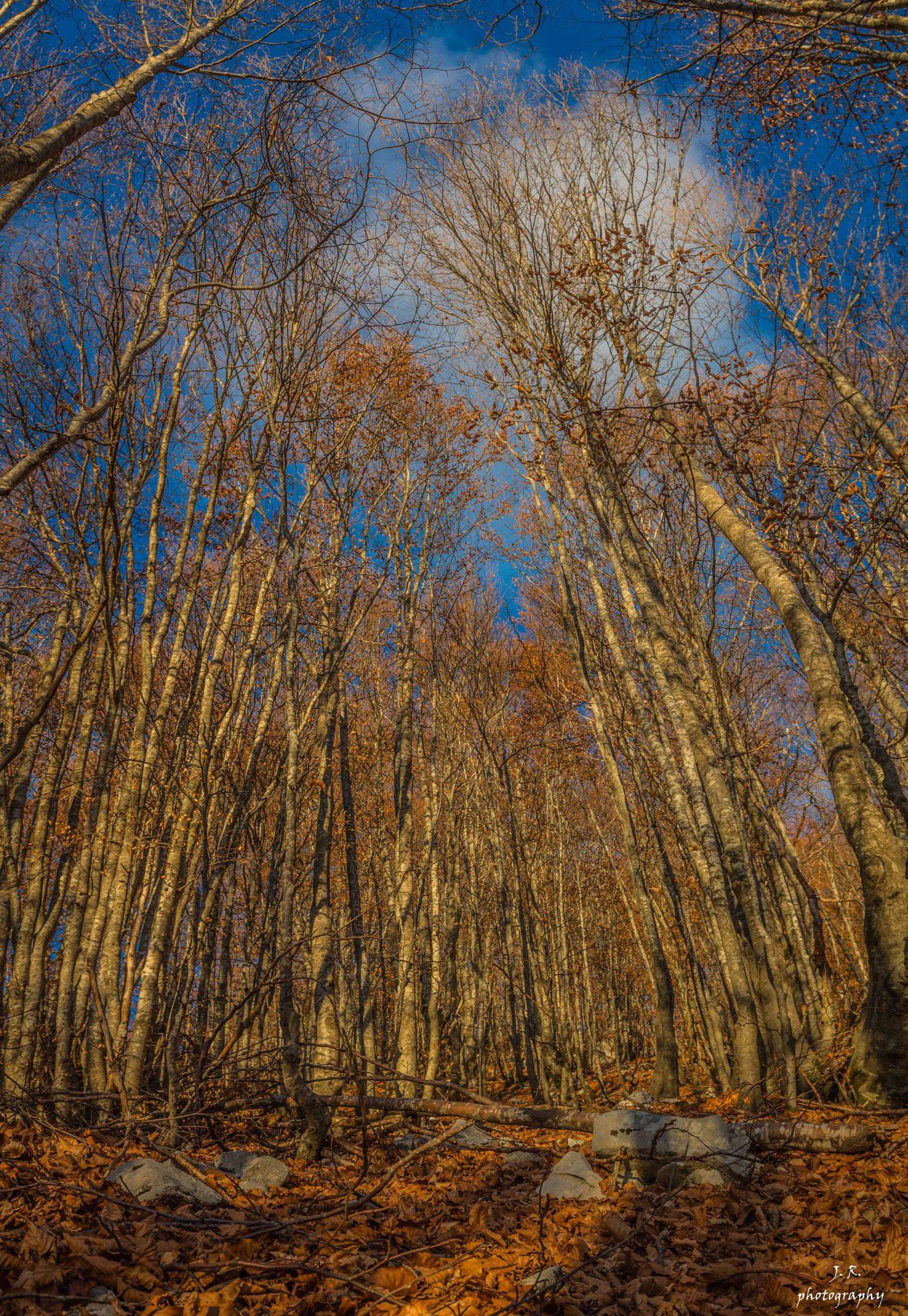 Canon EOS 1100D (EOS Rebel T3 / EOS Kiss X50) + Canon EF 24-105mm F4L IS USM sample photo. Autumn roads... photography
