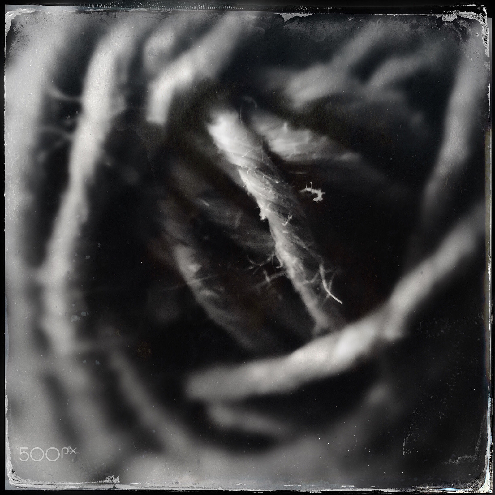 Hipstamatic 304 sample photo. Twine photography