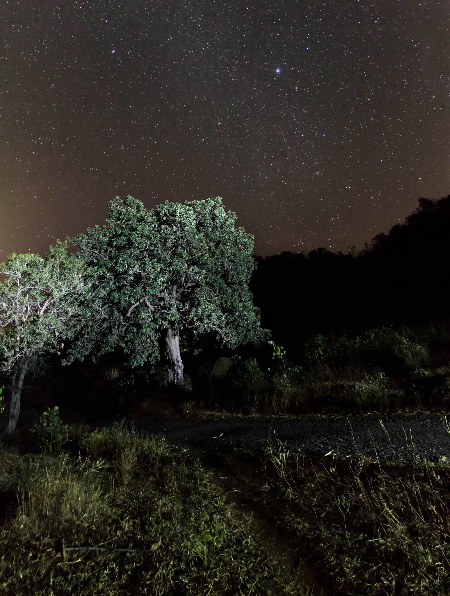 Sigma 17-70mm F2.8-4 DC Macro OS HSM sample photo. Starry night photography