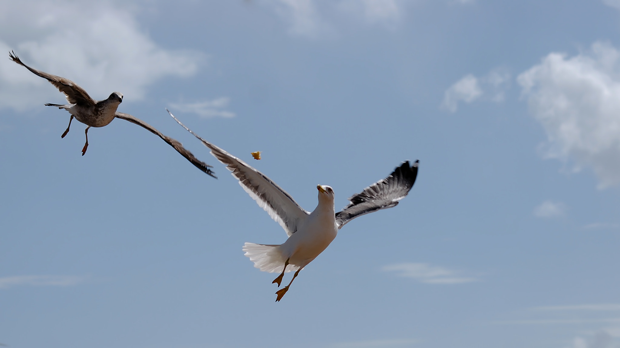 Nikon D40X sample photo. Take it photography