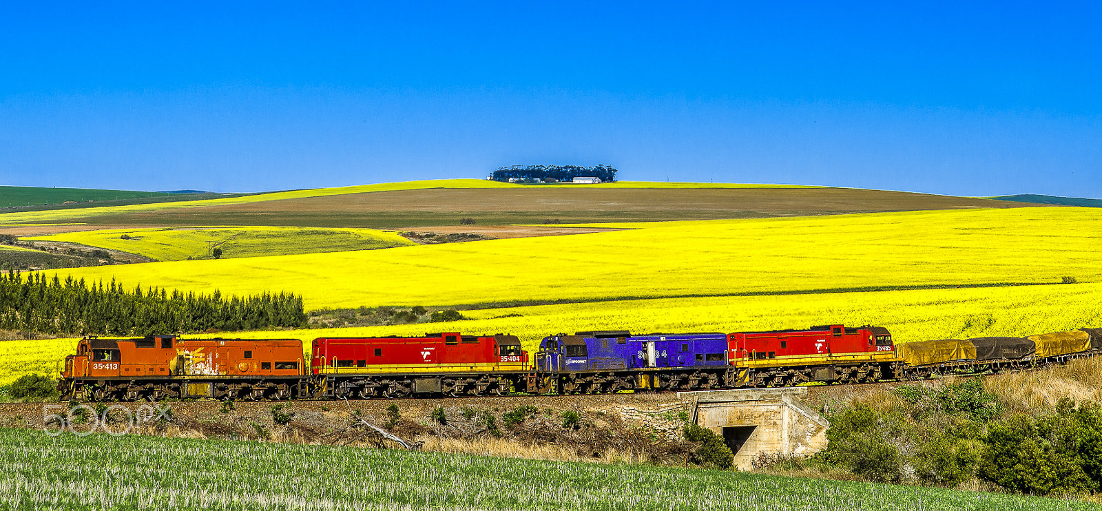 Sigma 24-70mm F2.8 EX DG HSM sample photo. For once the train was on time photography