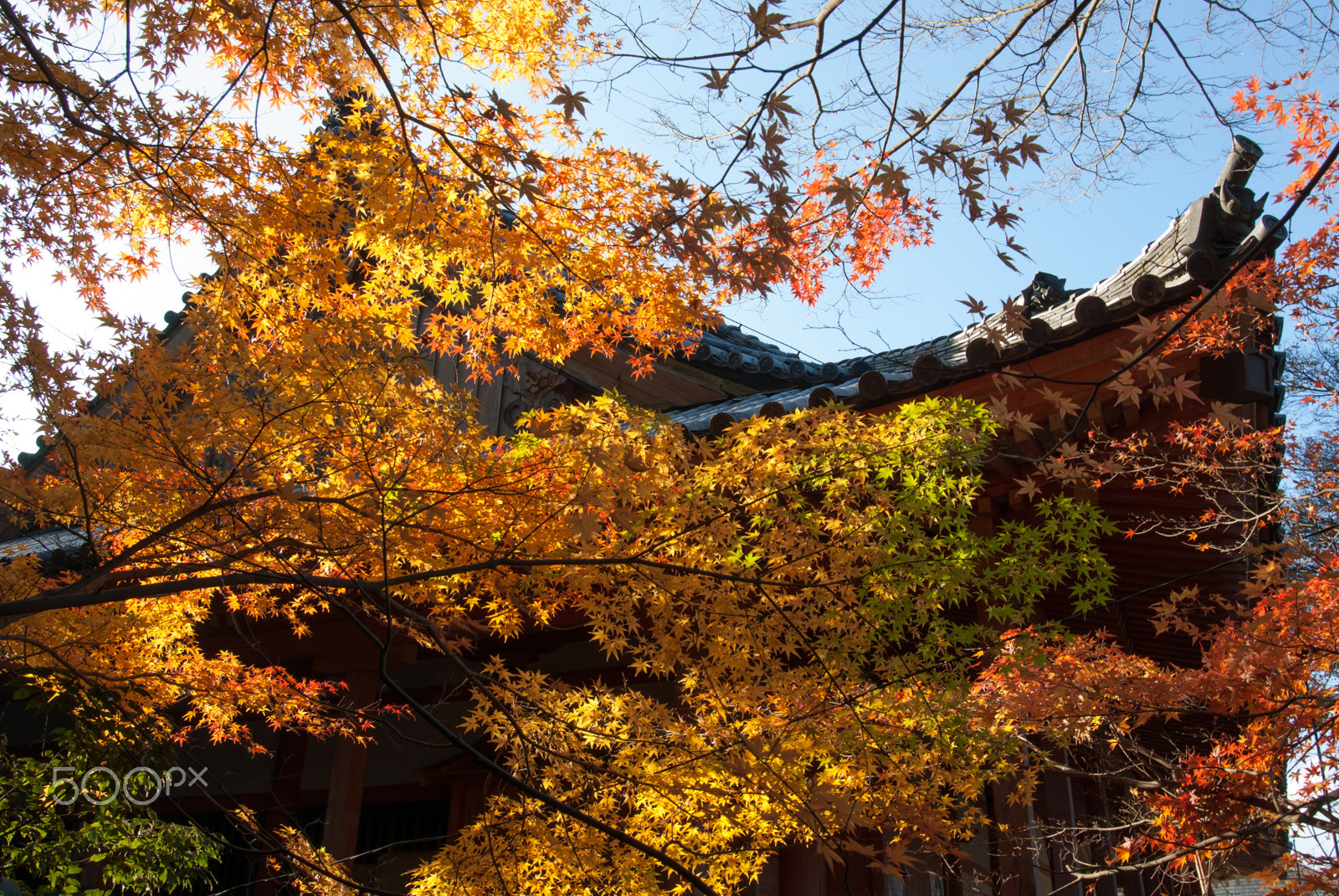 Pentax K10D sample photo. Temple photography