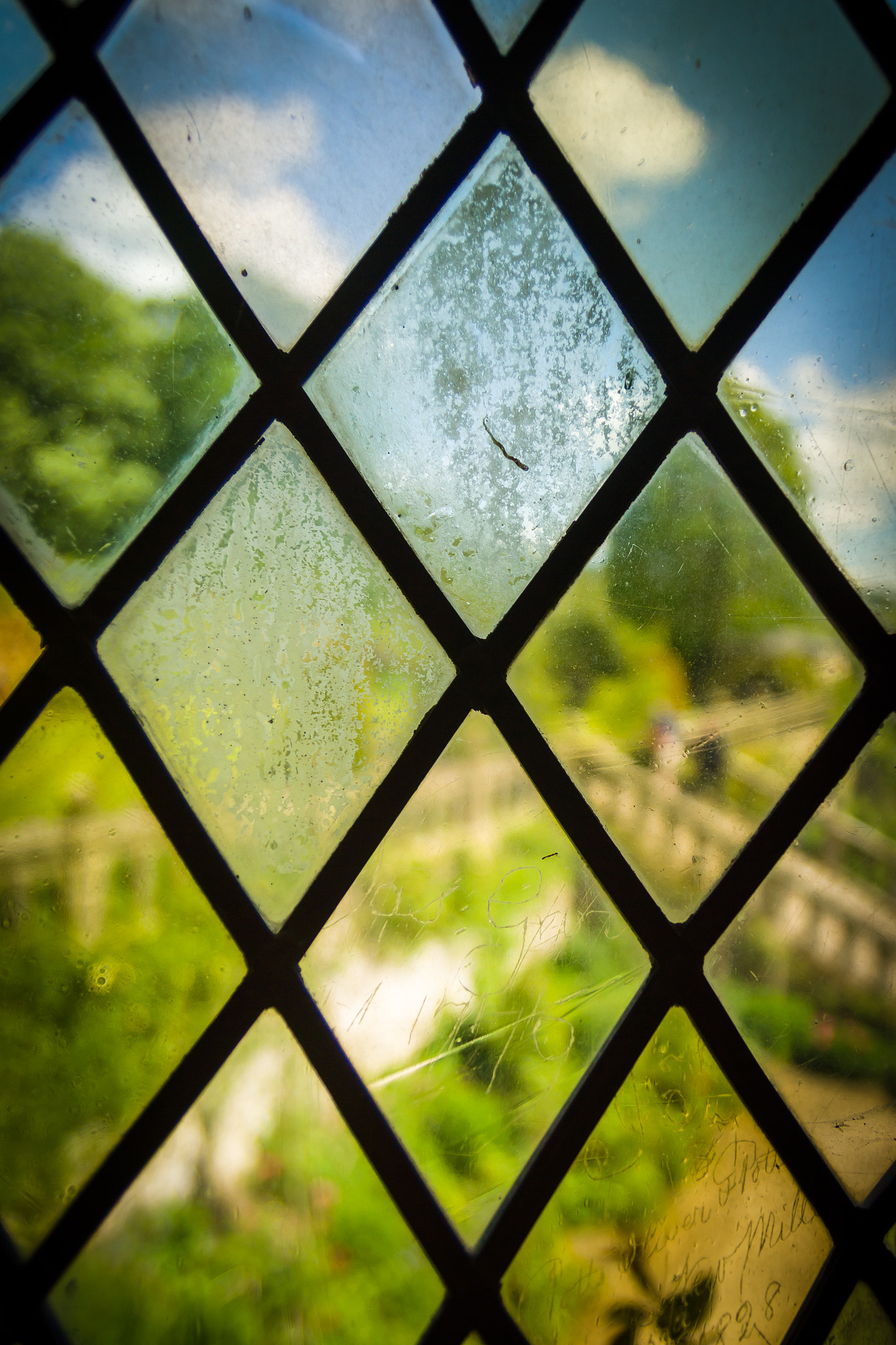 Sony SLT-A65 (SLT-A65V) sample photo. Garden through glass photography
