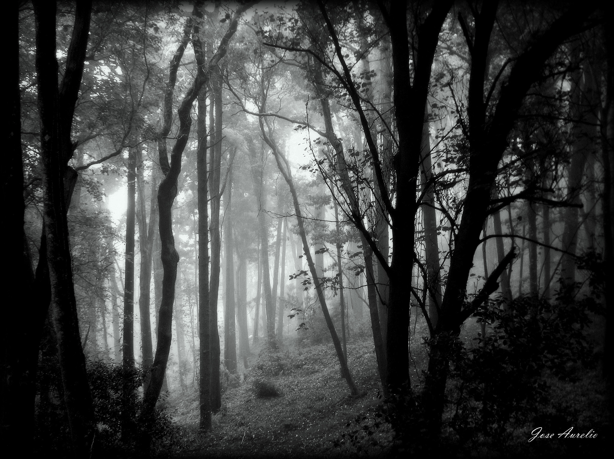 Pentax OPTIO S60 sample photo. Niebla photography