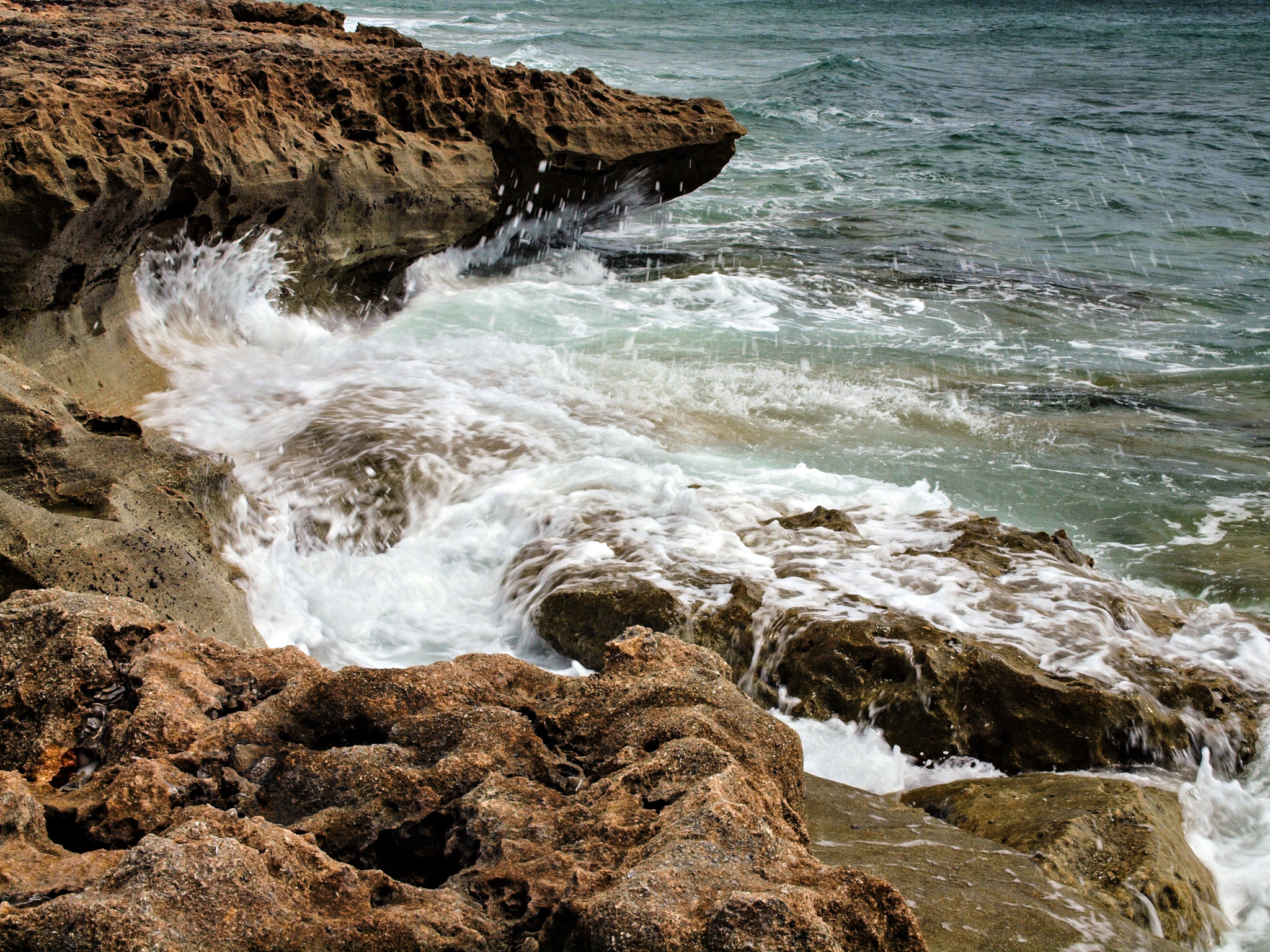 Olympus E-600 (EVOLT E-600) + OLYMPUS 14-42mm Lens sample photo. Gator at blowing rocks photography