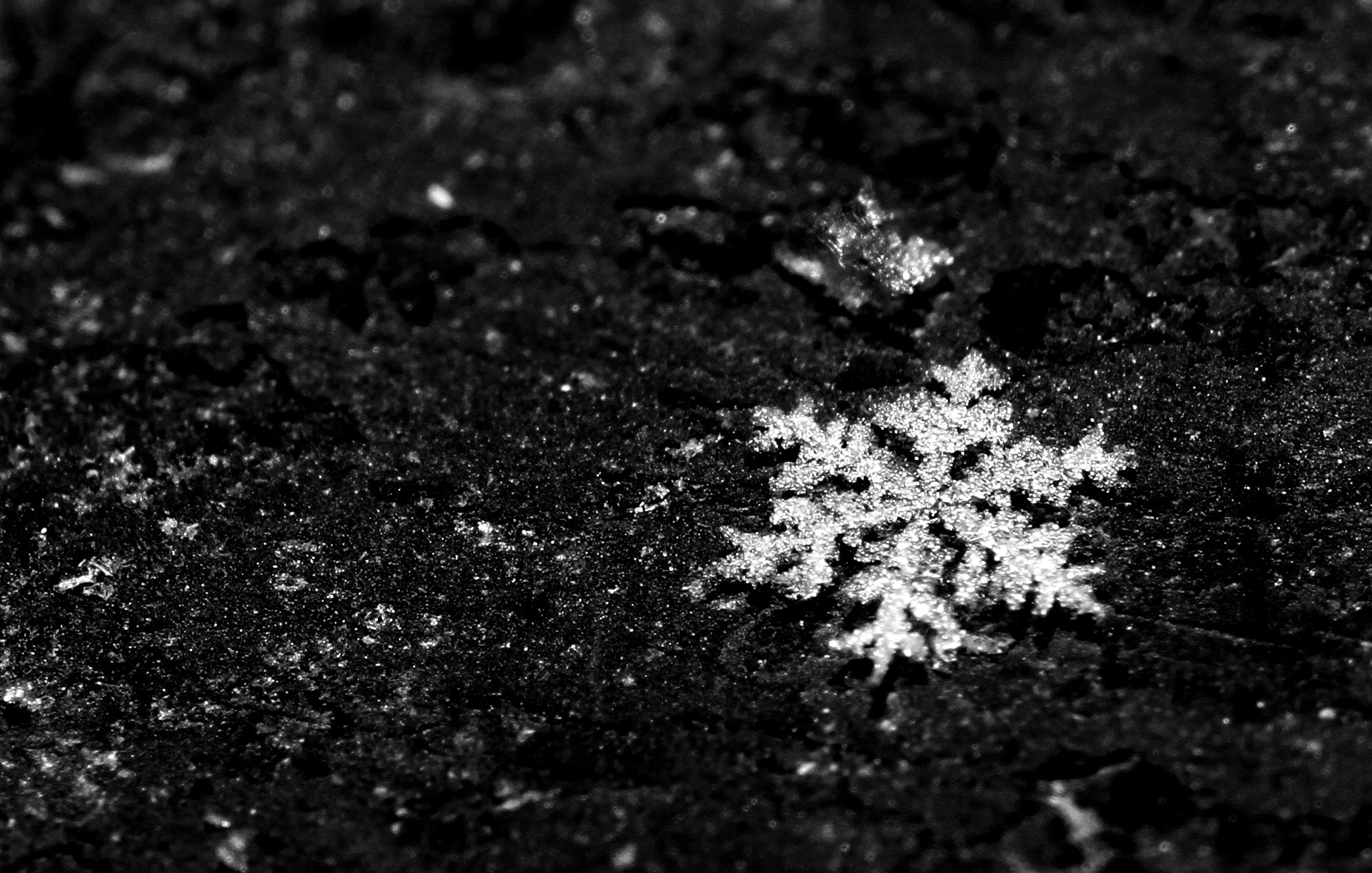Canon EOS 7D + Tamron SP AF 60mm F2 Di II LD IF Macro sample photo. Snow flakes photography